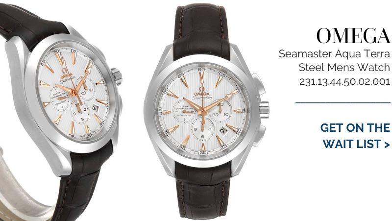 Omega Seamaster Aqua Terra Steel Mens Watch 231.13.44.50.02.001